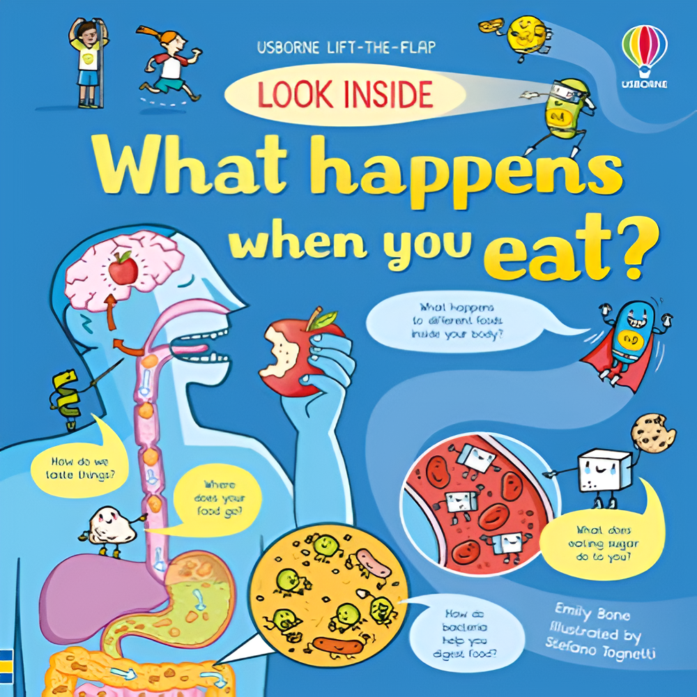 Look Inside What Happens When You Eat - Zootii